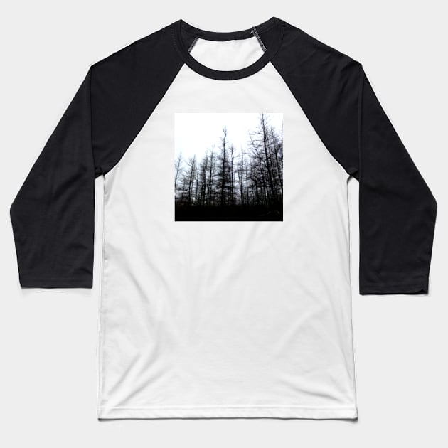 Naked Trees Baseball T-Shirt by RareImagery